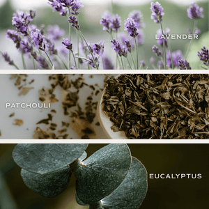 Calm and Comfort Clear Reed Diffuser (Self Care Lavender and Eucalyptus)