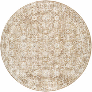 Andres Olive Area Rug
