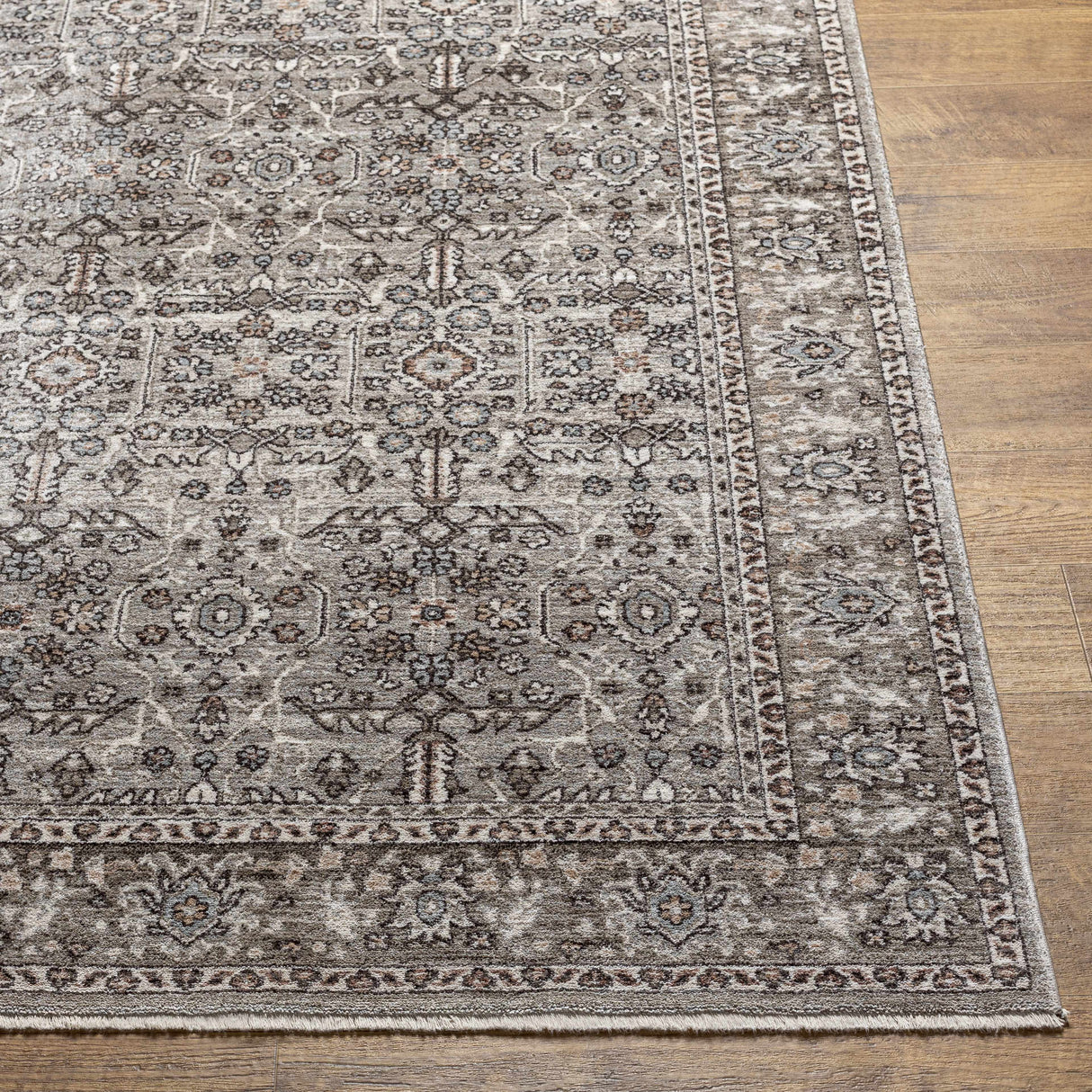 Lugo Luxe Area Rug with tassels - Clearance