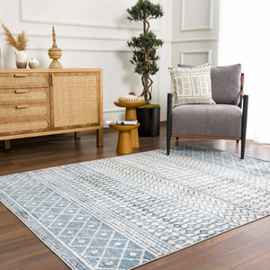 Southglenn Washable Area Rug - Clearance