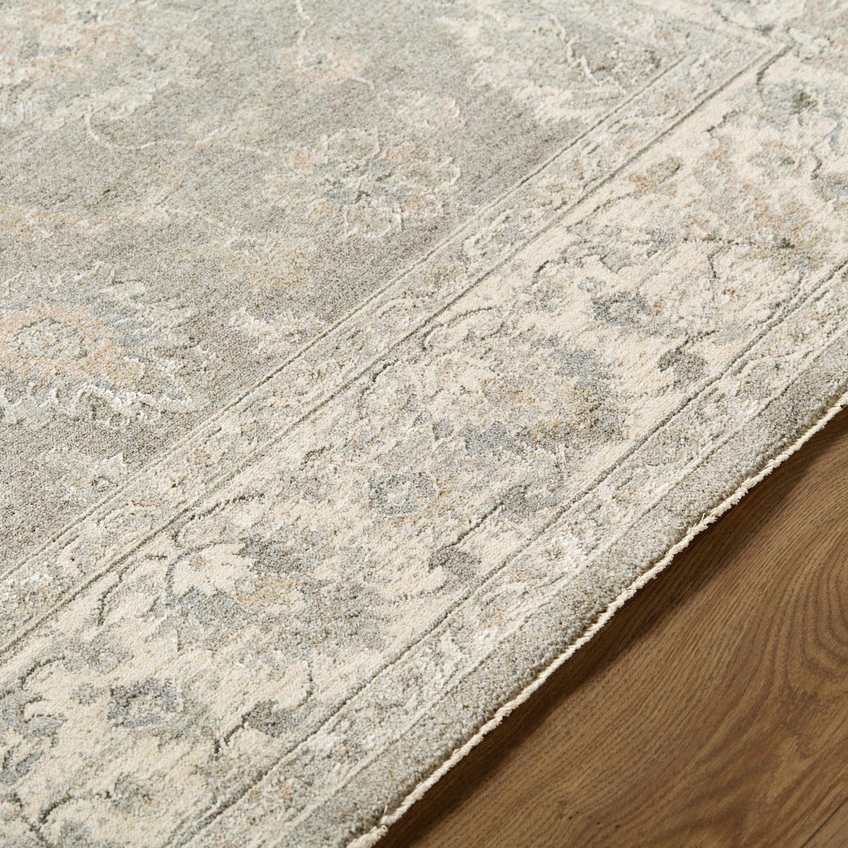 Alinae Area Rug
