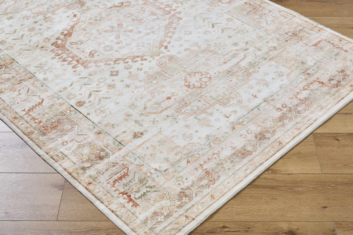 Laran Rust Distressed Washable Area Rug