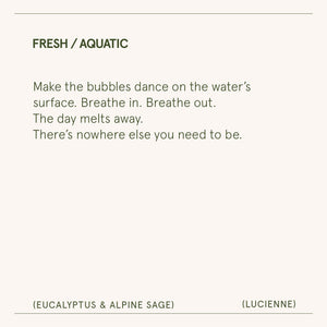 Lucienne - Eucalyptus & Alpine Sage Candle