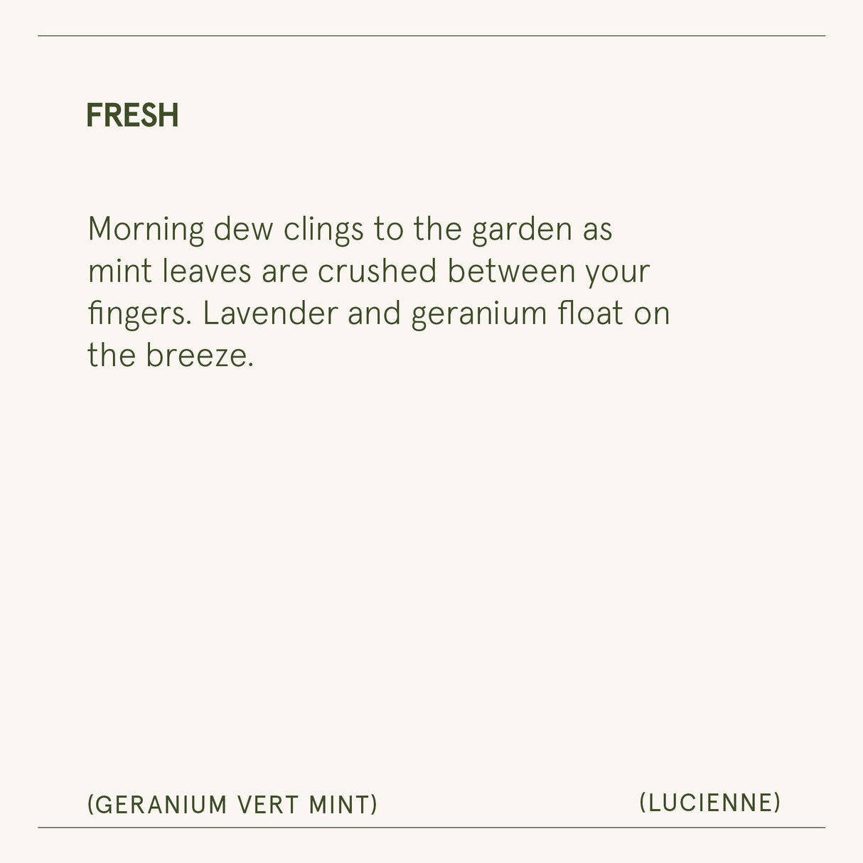 Lucienne - Geranium Vert Mint Candle