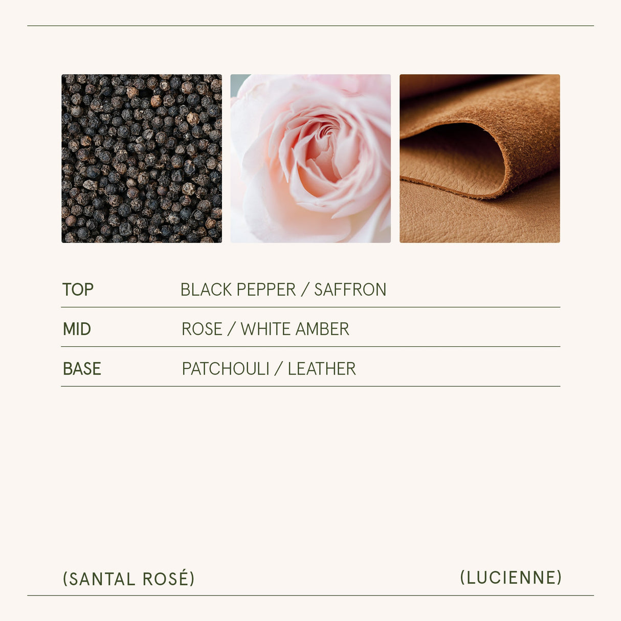 Lucienne - Santal Rosé Candle