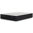 Limited Edition Plush Mattress Twin XL