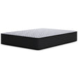 Anniversary Edition Plush Twin XL Mattress