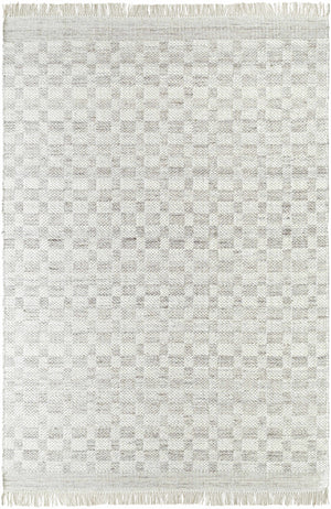 Meira Medium Gray Area Rug - Clearance