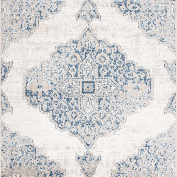 Amir Area Rug - Clearance