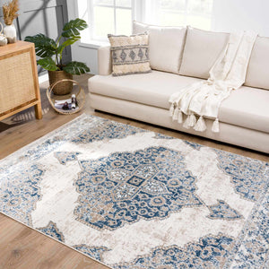 Amir Area Rug - Clearance
