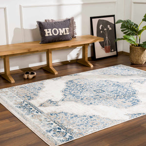 Amir Area Rug - Clearance