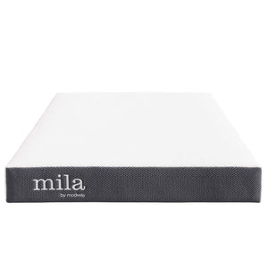 Mila 6" Twin Mattress by Modway
