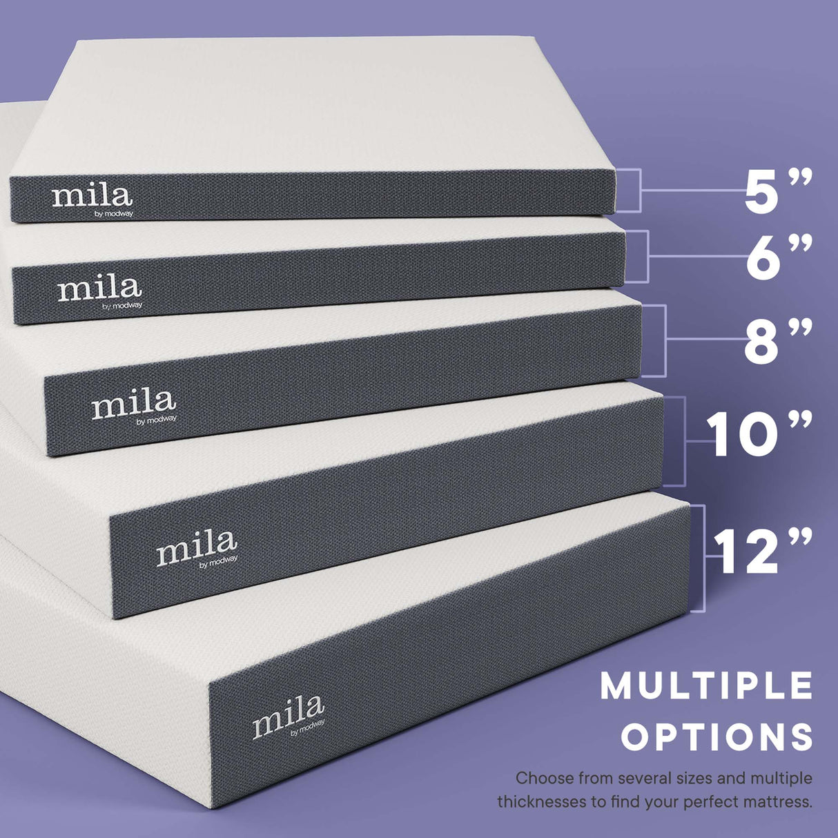Mila 6" Twin XL Mattress by Modway