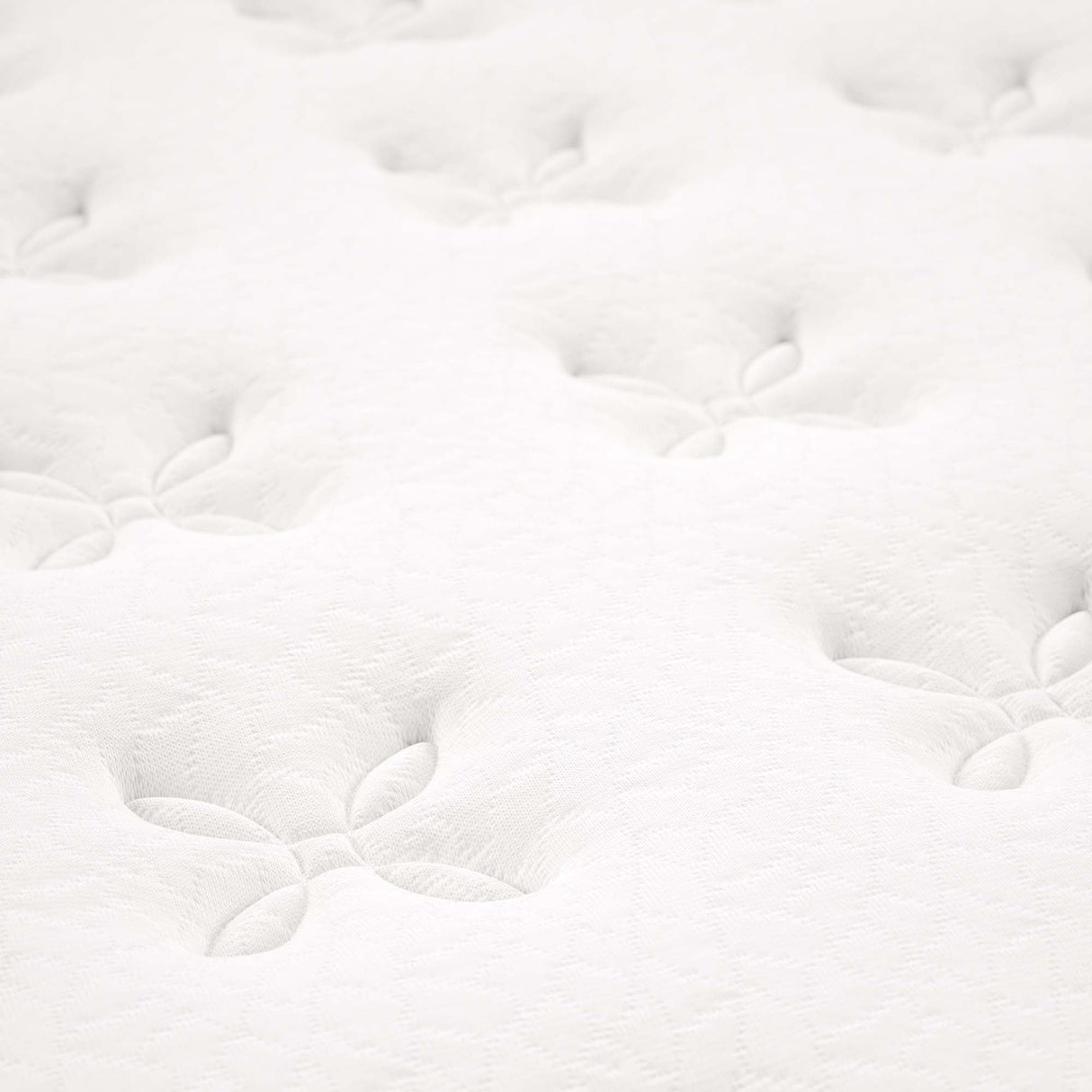 Jenna 8" Innerspring and Foam Twin Mattress by Modway