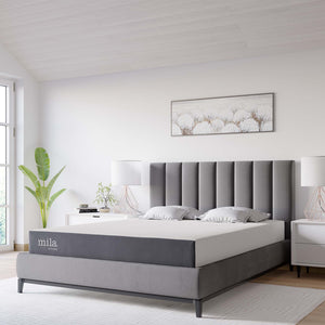 Mila 8" Queen Memory Foam Mattress by Modway