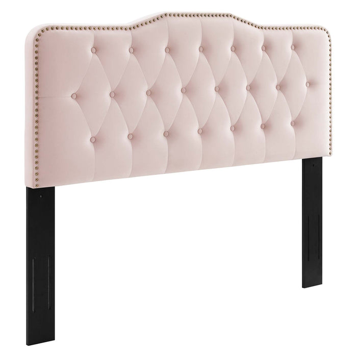 Sophia Tufted Performance Velvet Headboard by Modway