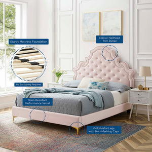 Gwyneth Tufted Performance Velvet Queen Platform Bed by Modway