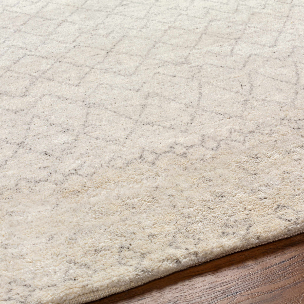 Boutique Rugs Mozon Handmade Faux Silk Area Rug - view 10