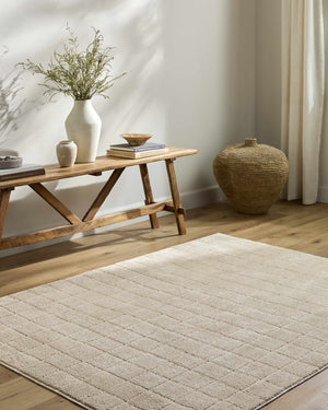 Cascade Checkered Beige Area Rug