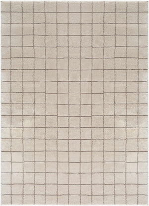 Cascade Checkered Ivory Area Rug