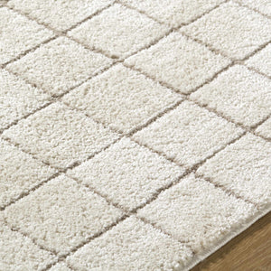 Cascade Checkered Ivory Area Rug