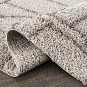 Andia Gray Area Rug - Clearance