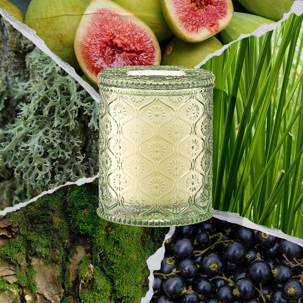Maelyn - Kyoto Vine & Moss 6oz Candle