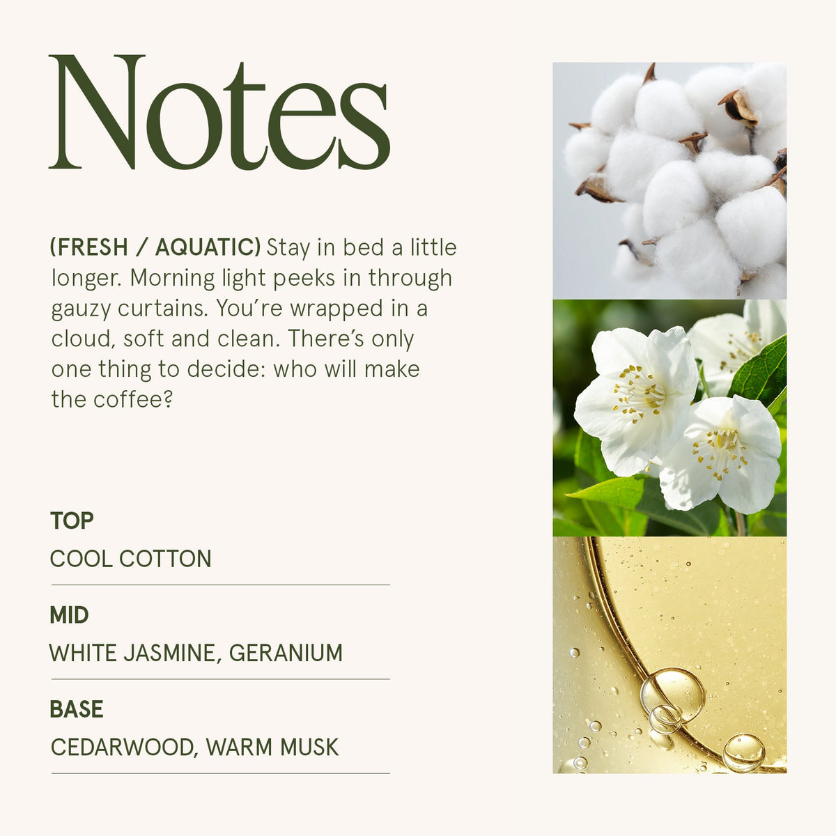 Maelyn - Linen Cotton Oasis 6oz Candle