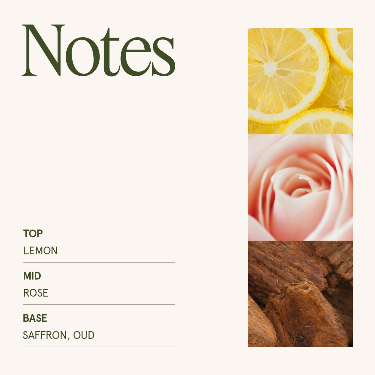 Maelyn - Rose Noir & Oud 19oz Candle