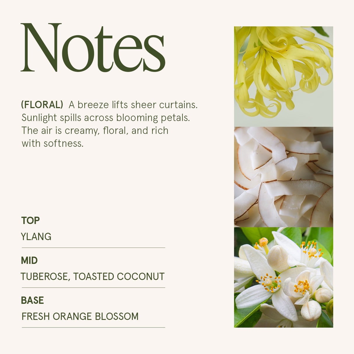 Marvella - Champs de Tuberose 10oz Candle