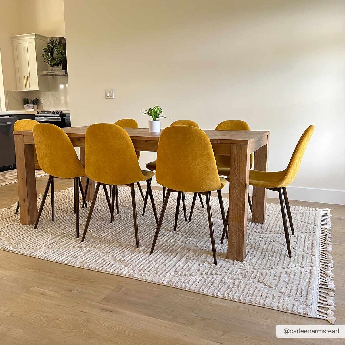 Mengen High/Low Pile Rug with Tassels