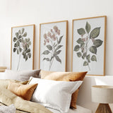 Rustic Botanical Wall Art. Vintage Flowers Prints