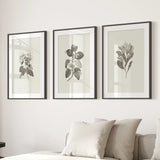 Antique Floral Prints 3 Piece Wall Art Decor