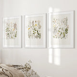 Minimalist Wild Plants. Botanical Poster Art Decor