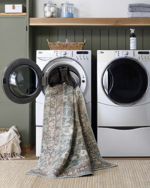 Walta Washable Area Rug
