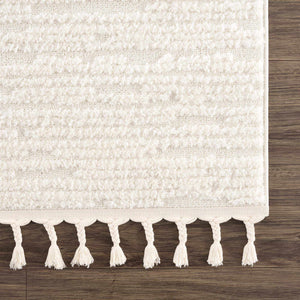 Kulu Textured Area Rug with Tassels