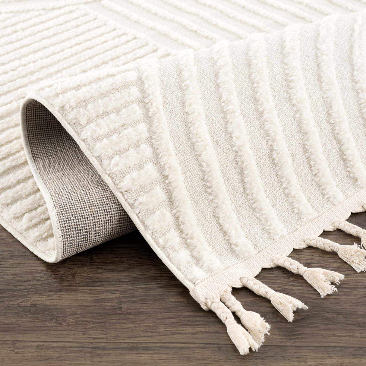 Guiling 3D Rainbow Area Rug with Tassels