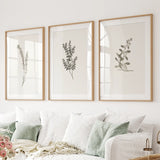 Vintage Floral 3 Piece Wall Art. Rustic Botanical Posters