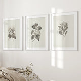 Antique Floral Prints 3 Piece Wall Art Decor