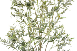 7' Artificial Wispy Olive Tree