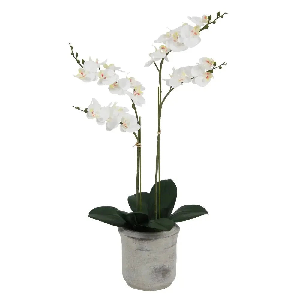 Artificial 2-Stem Phalaenopsis White Orchid