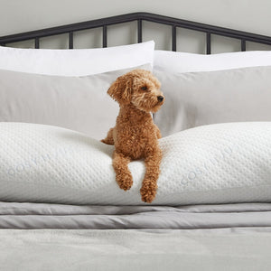 Cosy House Collection Luxury Body Pillow - view 4
