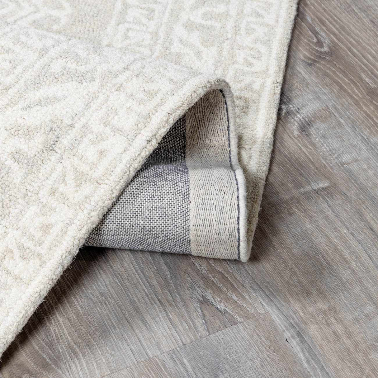 Paloma Area Rug