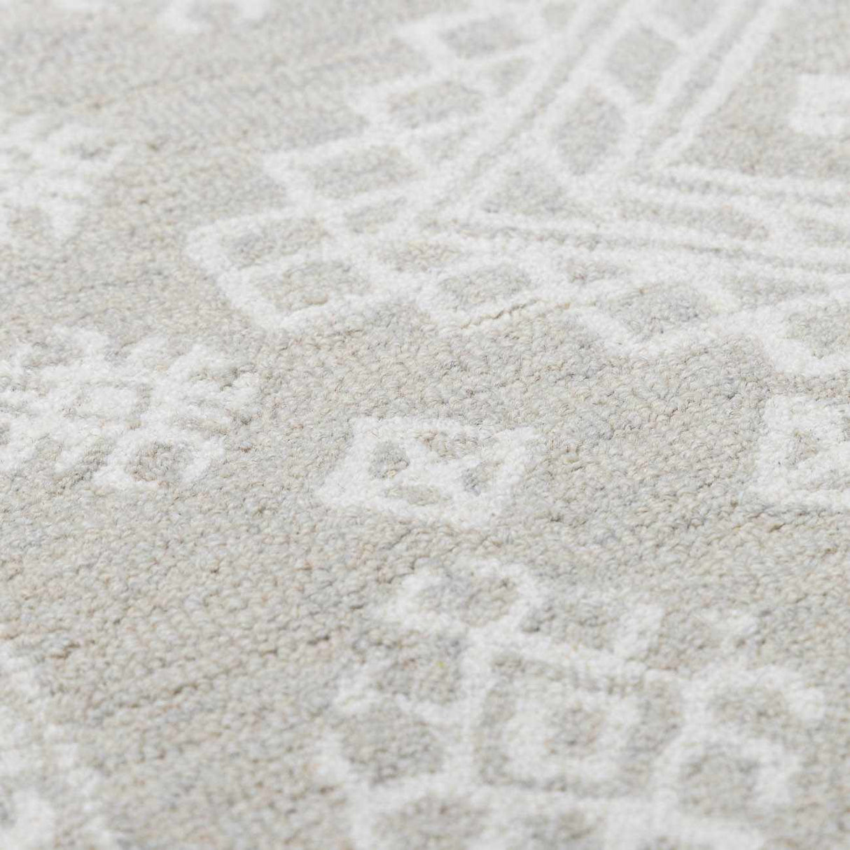Paloma Area Rug
