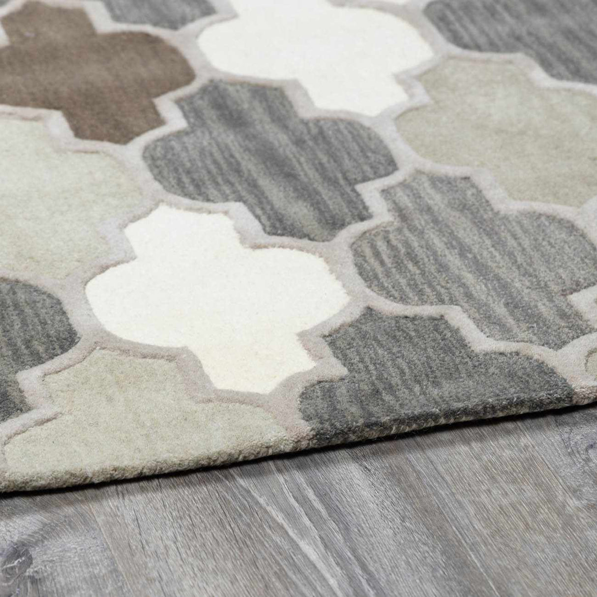 Paron Area Rug - Clearance