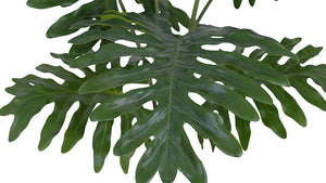 3' Faux Potted Philodendron