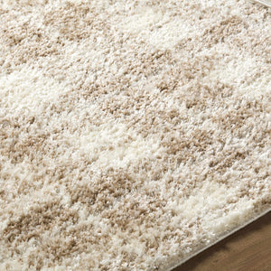 Anfisa Beige Luxe Shag Area Rug
