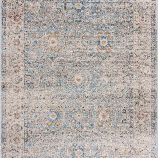 Anana Silver Blue & Beige Area Rug - Clearance