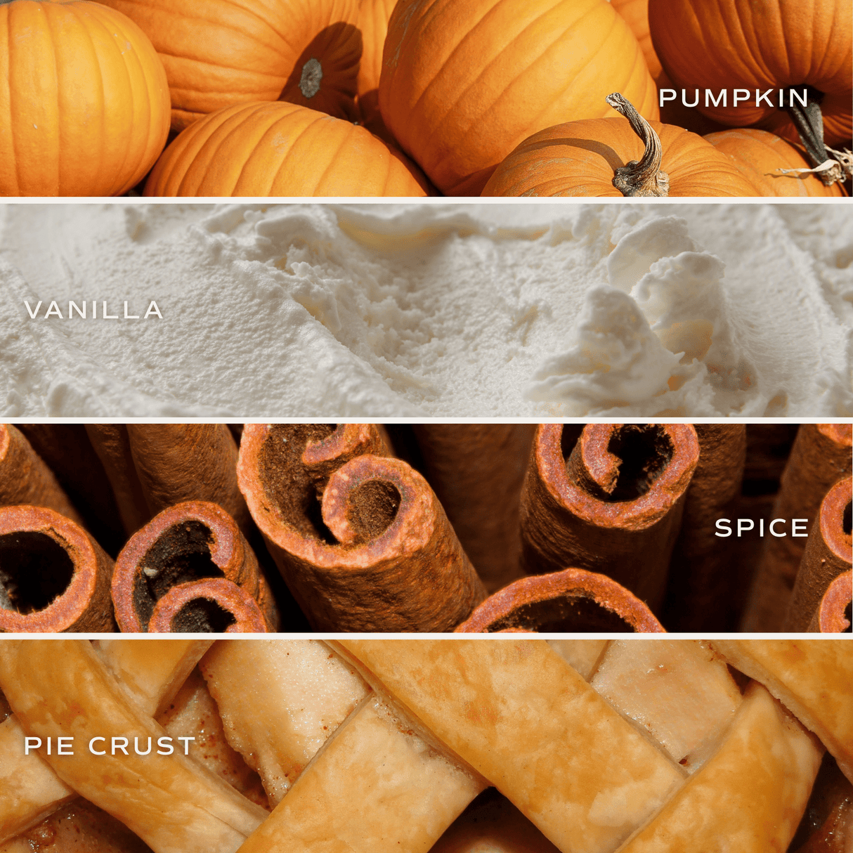 Pumpkin Pie Soy Candle - Orange Matte Jar - 15 oz (Hello Pumpkin)