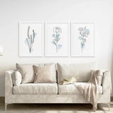 Botanical Line Art Set of 3 Pieces. Pastel Blue Flowers